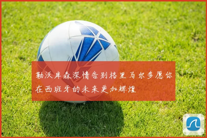 勒沃库森深情告别格里马尔多愿你在西班牙的未来更加辉煌