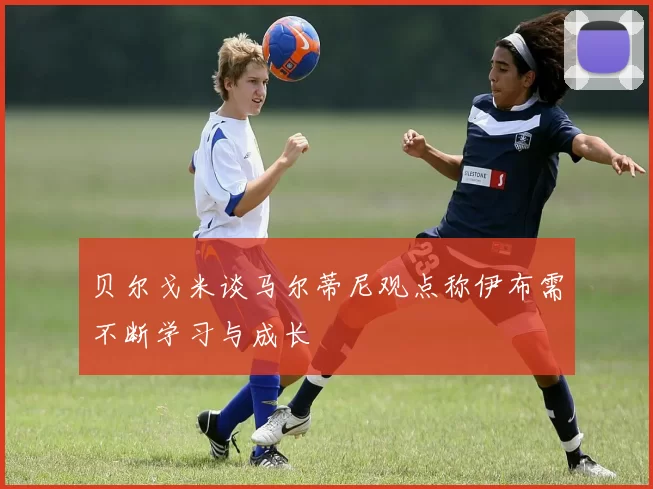 贝尔戈米谈马尔蒂尼观点称伊布需不断学习与成长