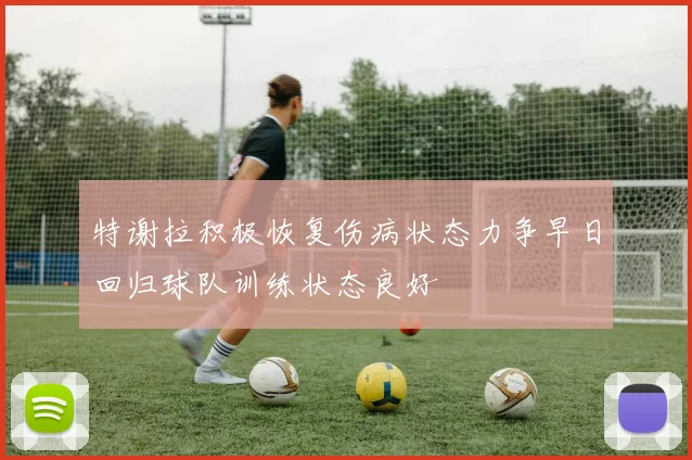 特谢拉积极恢复伤病状态力争早日回归球队训练状态良好