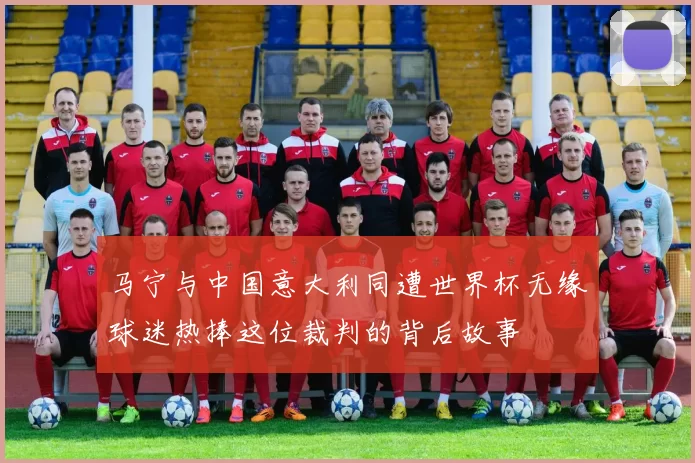 马宁与中国意大利同遭世界杯无缘球迷热捧这位裁判的背后故事
