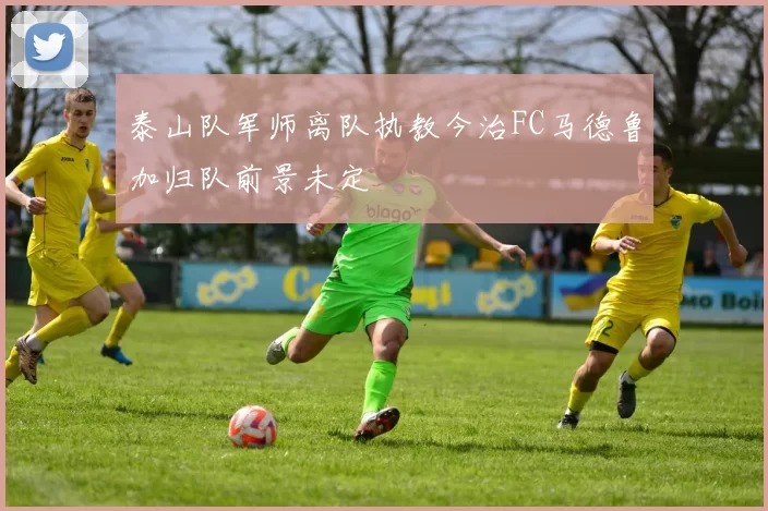 泰山队军师离队执教今治FC马德鲁加归队前景未定